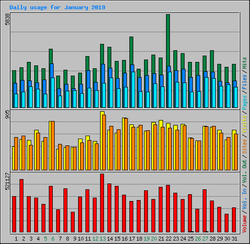 Daily usage for January 2019