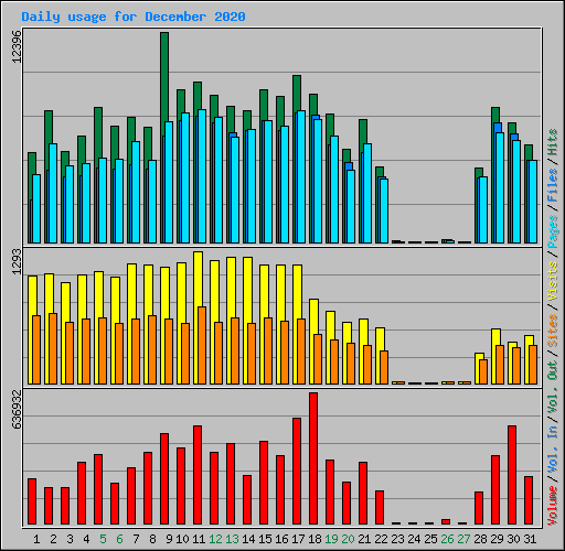 Daily usage for December 2020