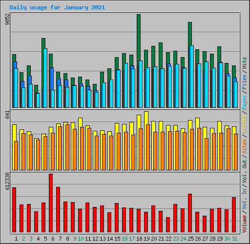 Daily usage for January 2021