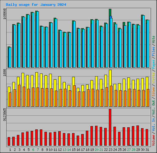 Daily usage for January 2024