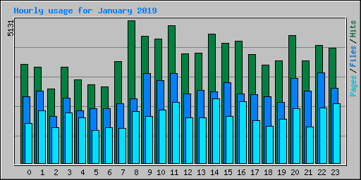 Hourly usage for January 2019