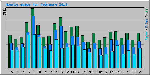 Hourly usage for February 2019