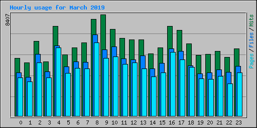 Hourly usage for March 2019