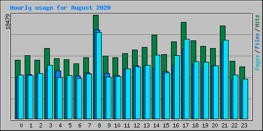 Hourly usage for August 2020