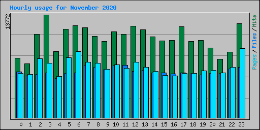 Hourly usage for November 2020