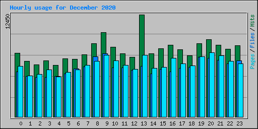 Hourly usage for December 2020