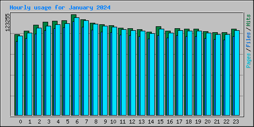 Hourly usage for January 2024