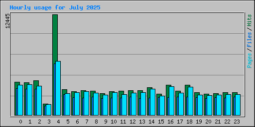 Hourly usage for July 2025
