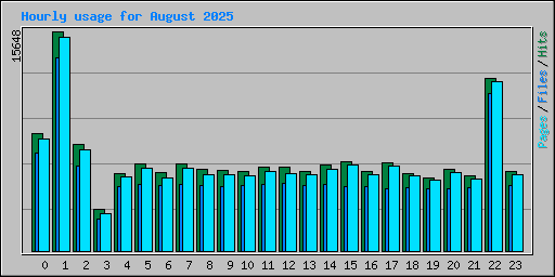 Hourly usage for August 2025